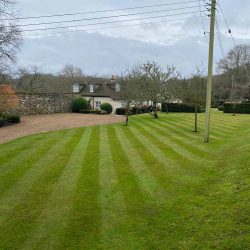 fresh cut lawn