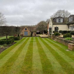 pattern cut lawn