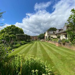 detailed image of lawn