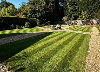 low-maintenance-garden